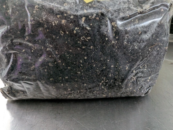 Dirt Bags™