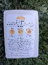 Face mask rear.webp