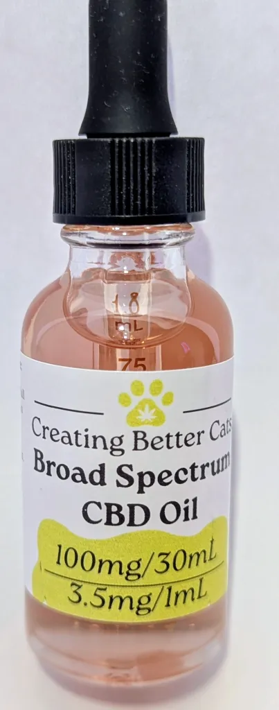 Creating better cats.webp